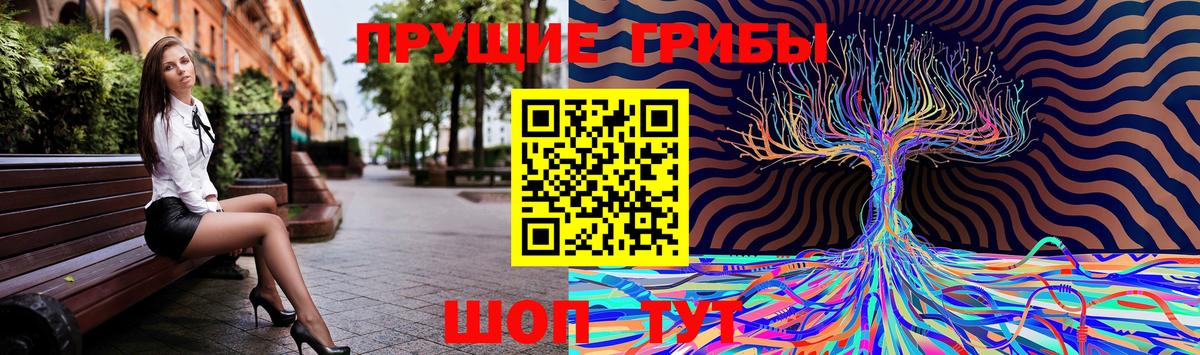 Видное  Псилоцибиновые грибы прущие грибы  Вход с VPN 