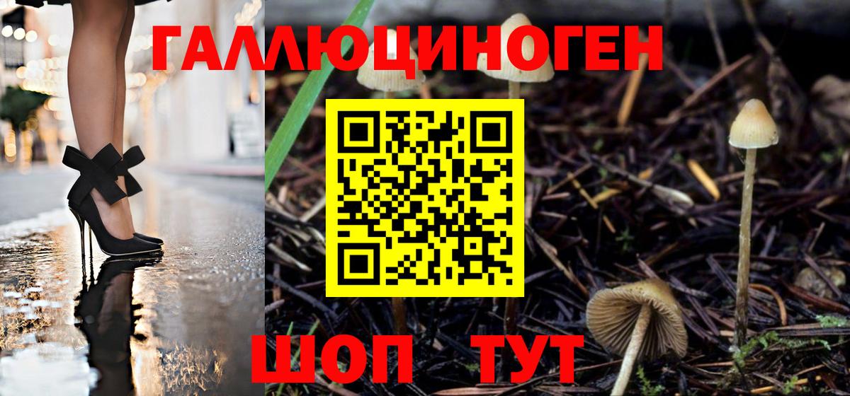 Галлюциногенные грибы мухоморы Видное